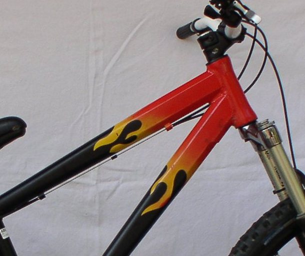 2009 Cult Flame.jpg