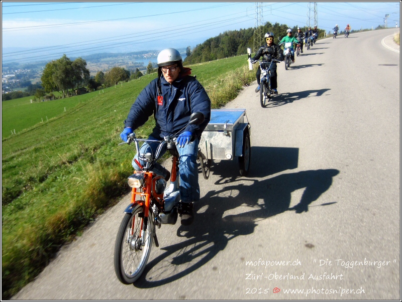 Toggenburger auf dem Weg nach Bäretswil