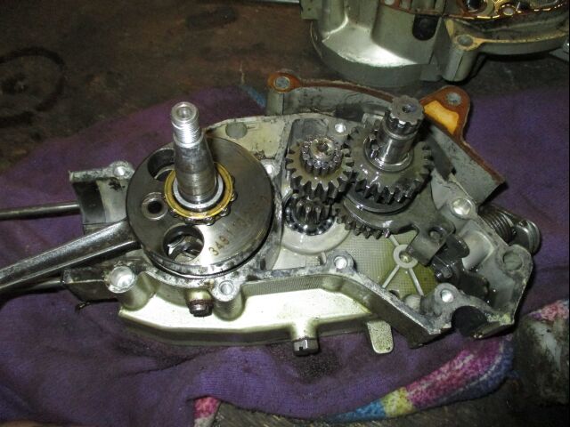 Z50-2.jpg