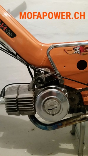 Maxi N 1977