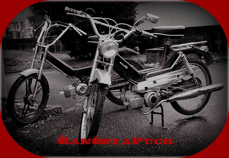 Gangsta-Puch05.jpg