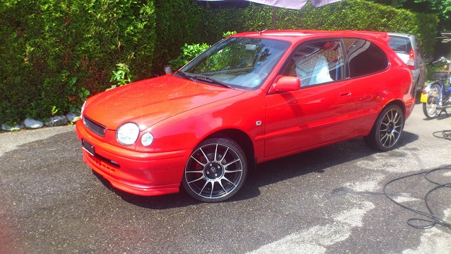 corolla.jpg