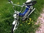 Puch Maxi S.jpg