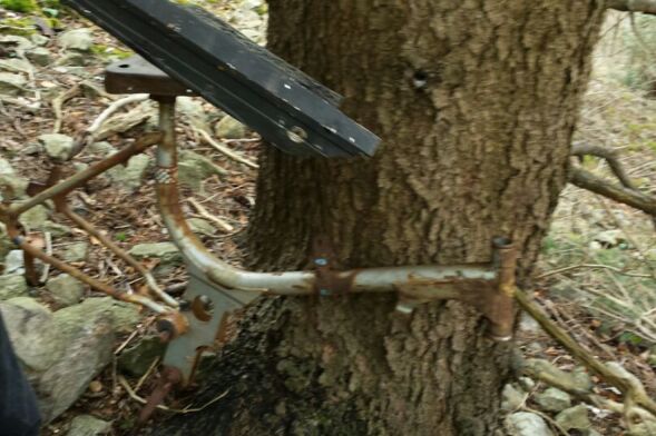 Rahmen im Wald.jpg