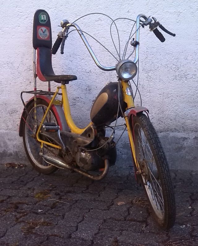 hippidöff01 forumgrösse.jpg