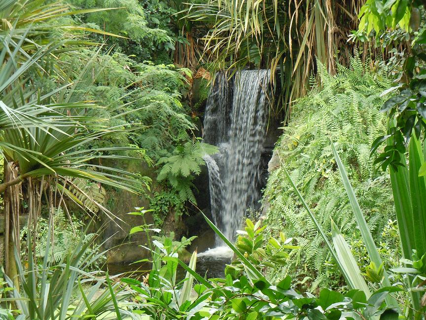 DSCN0883.JPG