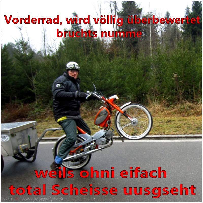 2016-01-toeffli-000178-online.jpg