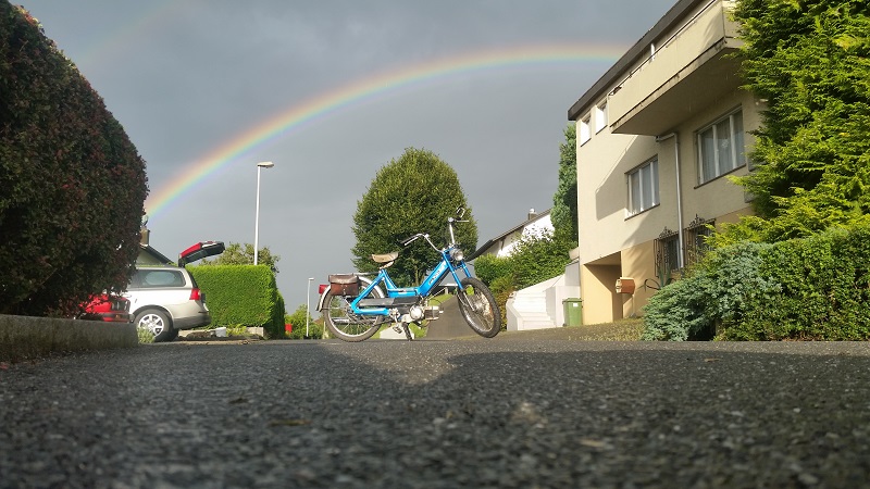 Das aktuellste Bild des Dailys