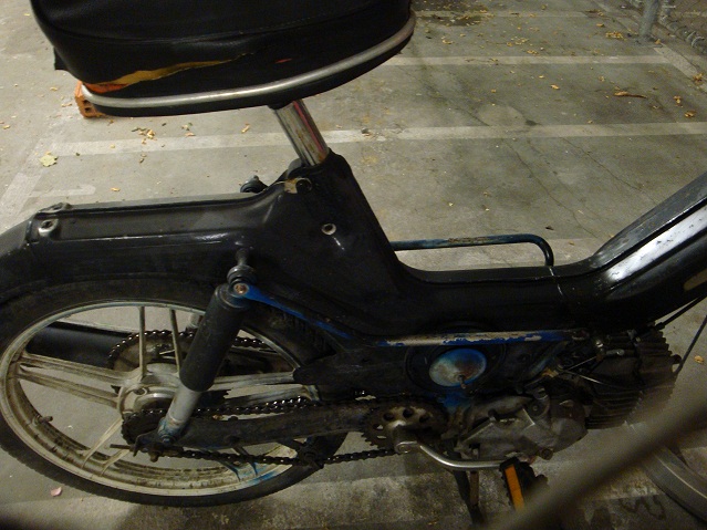 DSC03064.jpgneew.jpg