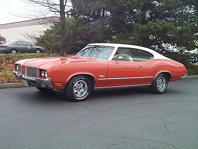 photo_1.JPG