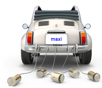 maxi.png